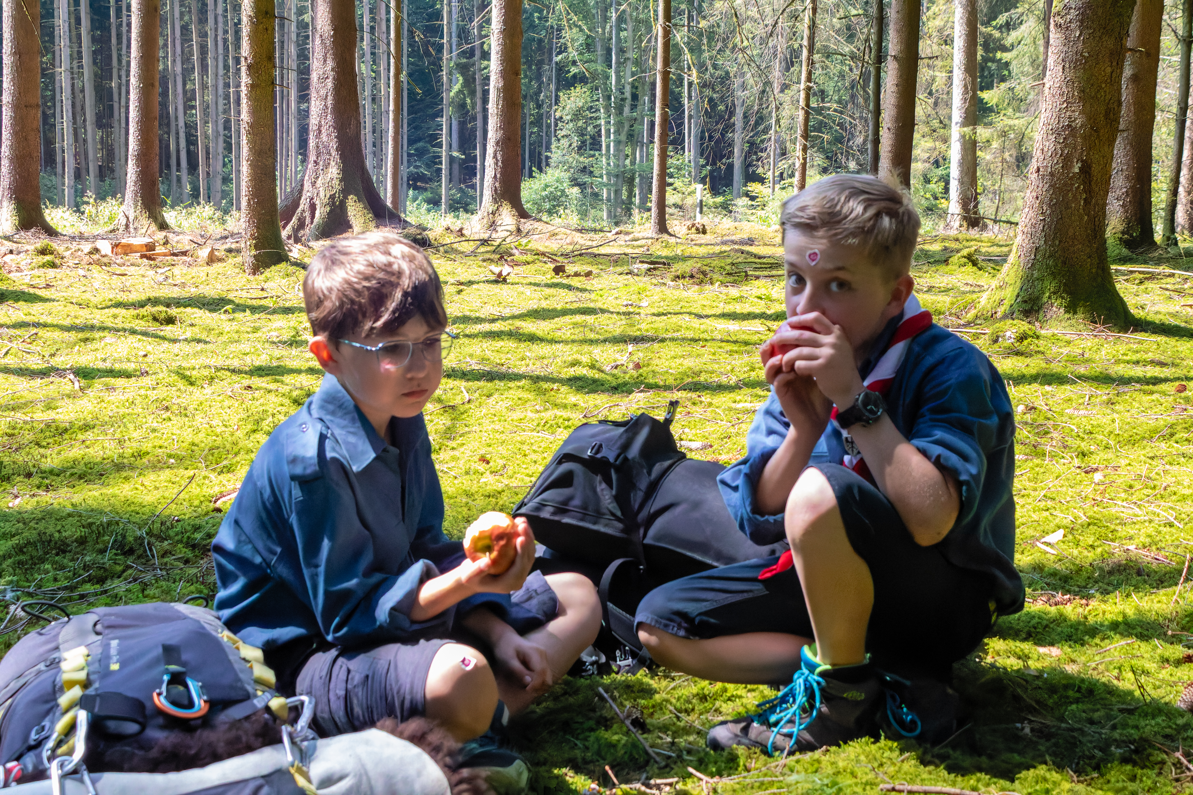Vorschaubild erste Fahrt
